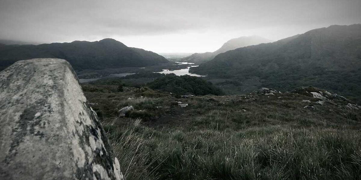 Business Drone Software: Solutions