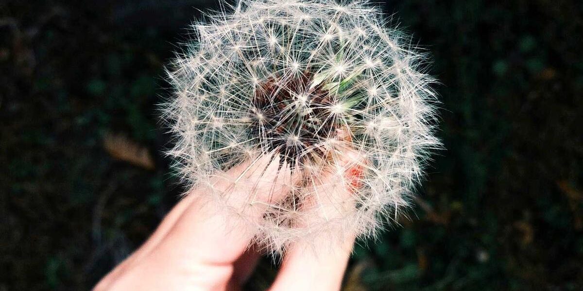 Switlik Aviation Safety Equipment and Products